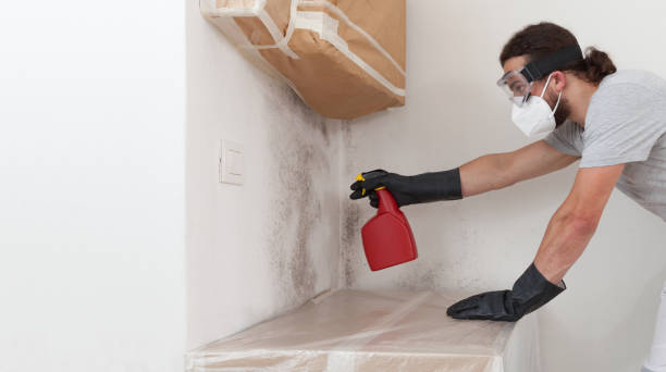Professional Crawl Space Mold Remediation technician working in Centreville, MI