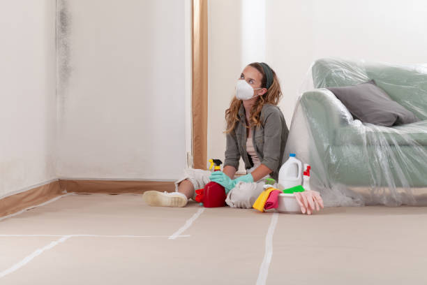 Reliable Crawl Space Mold Remediation contractor in Centreville, MI by 24 Hour Mold Removal